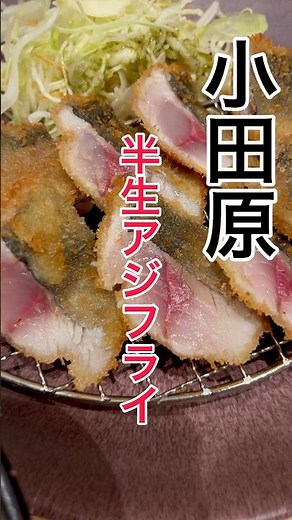 【小田原🌊名物の半生アジフライ】行列覚悟の人気店!さじるし食堂🐟 #神奈川グルメ#小田原市#小田原グルメ#小田原観光 #神奈川観光#年の差夫婦#shorts#short