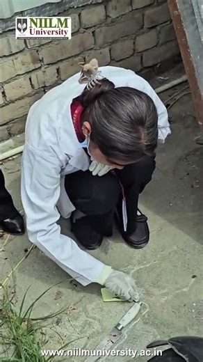 From Clues to Conviction 🔬⚖️ | The Power of Forensic Science