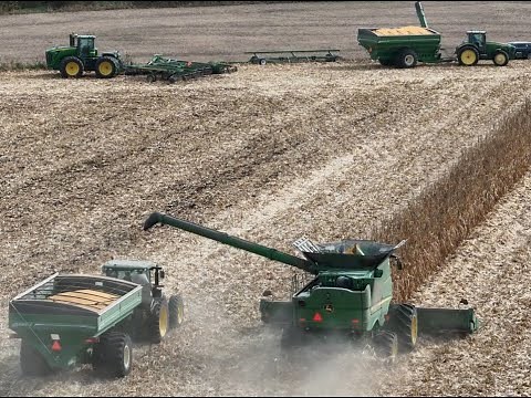 Harvesting Corn (Combining) 6 hours. & Bonus, picking corn with a 3 row picker. (ASMR)