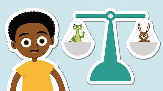 Measuring and comparing mass - Maths - Year 3 - KS2 - BBC Bitesize
