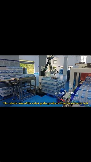 Best Automatic Palletizer Machine of 2025 Chinese Manufacture.Machine