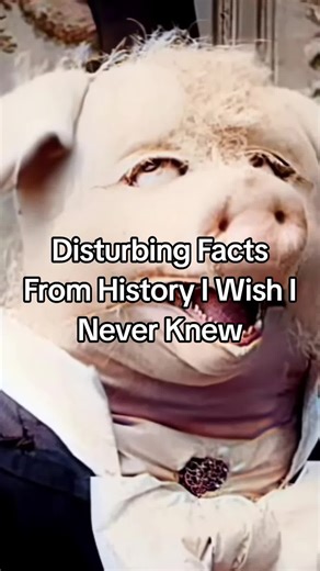 Which One Is The Craziest? #history #historytok #disturbing #facts #fyp