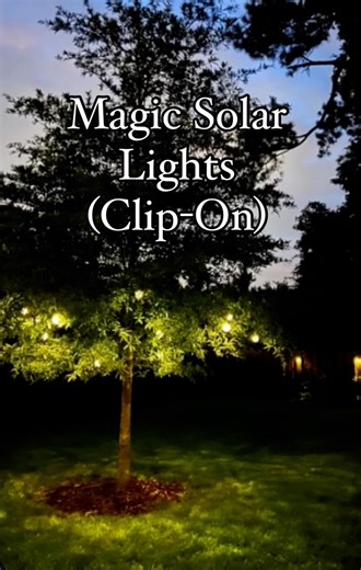 1.1K views | I’ve had my clip on solar lights for two years and they still work great! Wind, rain, summer heat—-they’ve stood the test of time and look so magical hanging in my tree and vines. ✨ #amazonfinds #fairylights #solarlights #backyarddesign | Gluesticks | Facebook