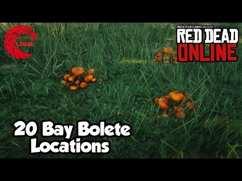 Bay Bolete Locations RDR2 Online - Red Dead Online Bay Bolete Location Guide