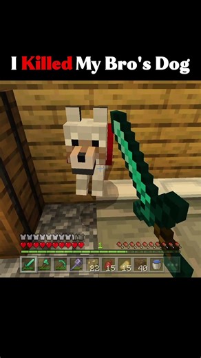 I Killed My Bro's Dog | #pallaviplayz #minecraft #gugugaga