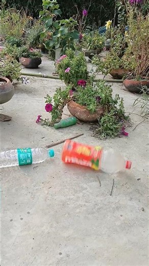 Red VS Blue Breaking glass bottle! Crushing Crunchy & Soft Things🏵️#shorts🪻🌻 #funny