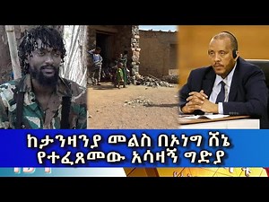 Ethiopia -Esat Amharic News Nov 27 2023
