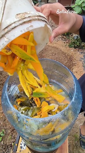 207K views · 1.5K reactions | Turn Kitchen Waste into Plant Power | Easy Compost Hack #DIYCompost #ZeroWasteLiving #GardenHacks #Bellinfarn | BellinFarm | Facebook