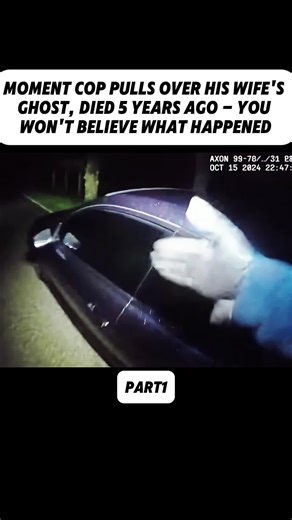 Unbelievable Cop Story: A Truth Behind The Tinted Window