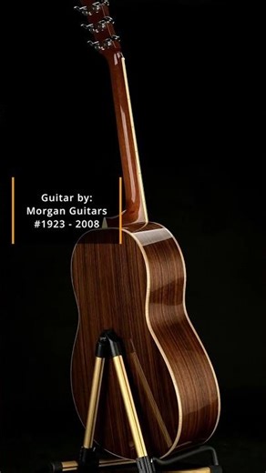 Morgan Guitars OM acoustic guitar (2008)