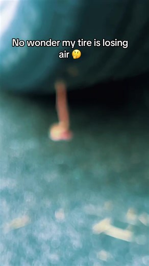 #fypシ ##🔥🔥🔥 #worms | burning worms