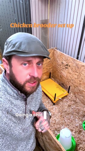Ultimate Chicken Brooder Setup Guide