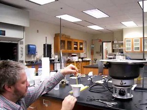 Lab 12.1 Specific Heat Capacities