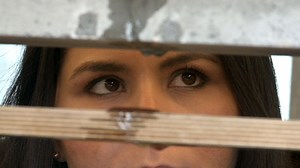 Building for the future with self-repairing concrete