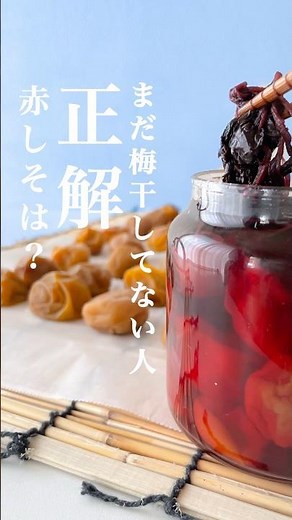 梅干しの干し方【基本】赤しそ漬ける時期と期間 #shorts #梅干し #基本 #干し方 #夏レシピ #plum #japanesefood