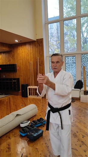 sai 釵 (サ イ) / training the Sai technique in Kobudo / application bunkai / Ryukyu Kobudo 龍敏道場 Ryubin dojo #Uechi #Stepin #Sanseiryu #kata #bunkai #shoken #Okinawa #karate #kodokan #test #kun #kumiteboshiken #bunkai #hozonkai #harayukegeri #wauke #nahate #wauke #Roman #sanchin #sai #kobudo | Evgeny Rybin