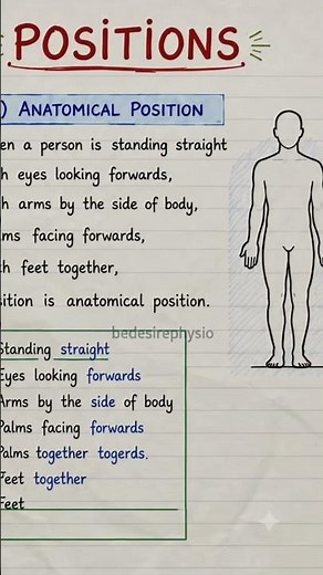 Anatomical position Quick revision.