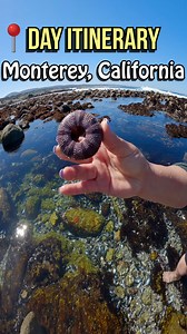 Your Ultimate Day Trip Itinerary to Monterey, California — 2025 travel edition! 🗺️🚗 Looking for the best things to do in Monterey? This video is your complete Monterey day trip travel guide, perfect for California coast road trips, weekend adventures, and Monterey Bay vacation planning. ✅ This Monterey travel itinerary includes: * 🐚 Lovers Point Park – top spot for sunrise, tide pools & photos * 🌴 Fisherman's Shoreline Park – quiet escape with ocean views * 🌊 Asilomar State Beach – best bea