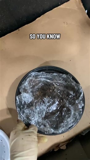 NT Farmz 🪱🌱 on Instagram: "Day 63 of starting my worm farm. #wormfarm #worms"