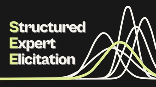 You re Doing Expert Elicitation Wrong — This Tool Can Fix It | Mirko von Hein