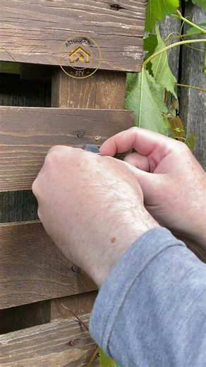 I Screwed a Nut Into My Fence… Here's Why