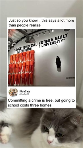 California built more prisons than universities