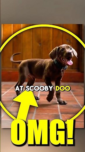 NEW LOOK AT SCOOBY DOO LIVE ACTION - HE’S ADORABLE! 🥹