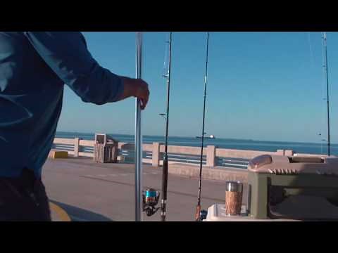 The Joy Fish Extendable Landing Net | A Must Have For Pier Fisherman