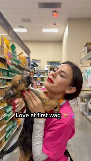 45 reactions · 4 comments | Come tomorrow to our adoption events in...