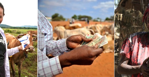 Innovations scaling and impact