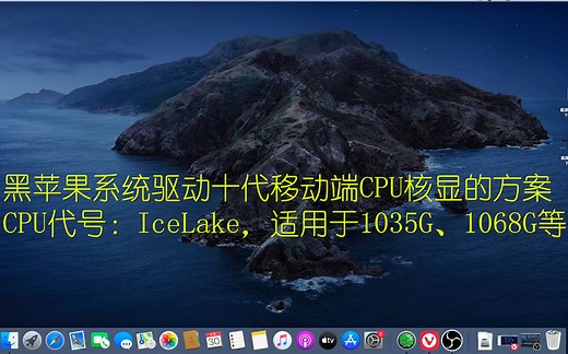 【或许是全网首发】黑苹果如何正确驱动十代CPU移动端的核显