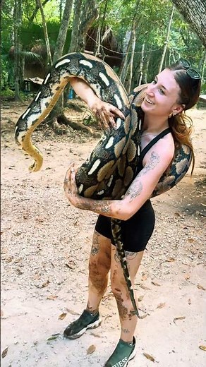 Handling GIANT snakes - reticulated python
