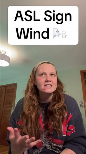 Learn How To Sign "Wind" in ASL for Beginners | American Sign Language #shorts