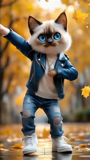 Cats dance freely daily Trends This Year 🤣 | Our Complete Review of Cats dance freely daily 💃🎊😃