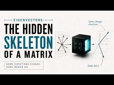 Eigenvectors: The Hidden Skeleton of a Matrix