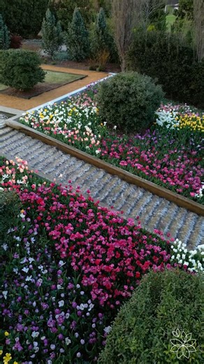 Spring is coming! 🌷 We’re excited to announce we’ll be hosting Nature Connects, a traveling art exhibit by artist Sean Kennedy. March 1st - May 4th Tickets details: tulsabotanic.org | Tulsa Botanic Garden