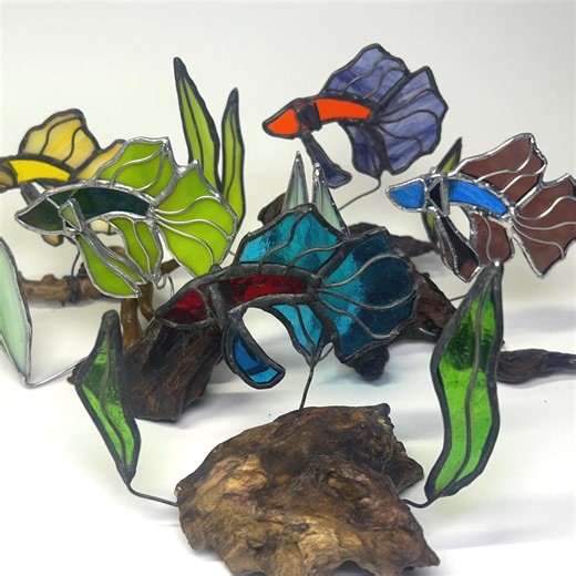 Stained Glass Siamese Fighting Fish Sculpture on Driftwood - Etsy
