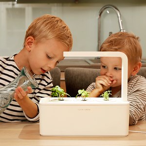 229K views · 1.2K reactions |  This is the most fun you will ever...