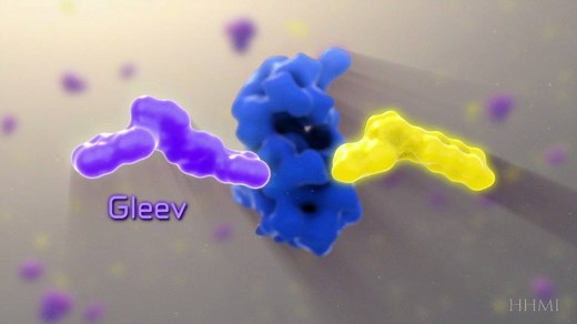 2.7K views · 65 reactions | Watch as Gleevec, an anti-cancer drug,...