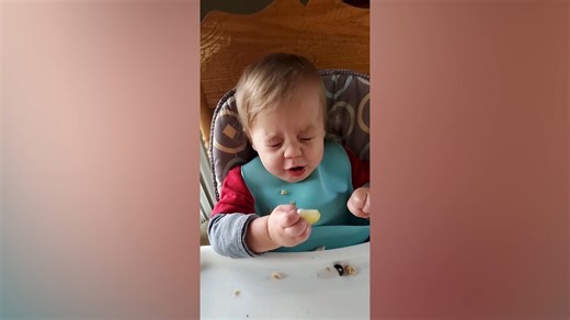 Adorable Baby Reactions
