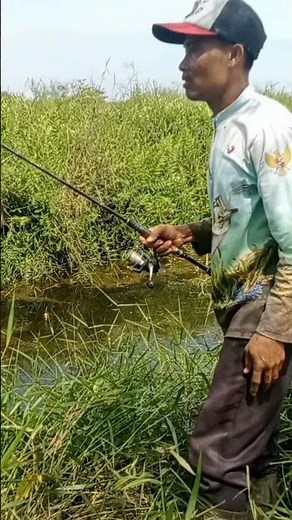 The Toman was so powerful it dragged me along #tomanfishing #howtofishtoman #tomanmonster