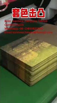 Visual Registration Embossing Machine