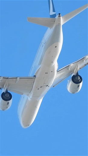 Nikon P1100 Planespotting Test #18 Hand Held