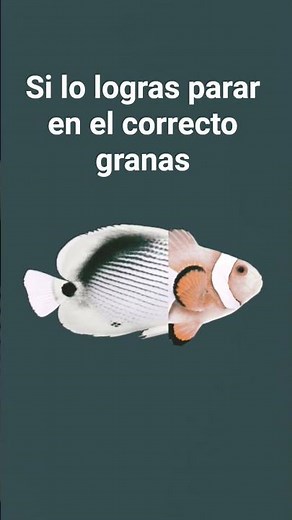 2 de diciembre de 2025