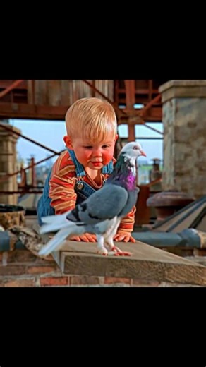 Moonlight Film on Instagram: "Babys Day Out (1994) | little troublemaker Babys Day Out (1994) is a hilarious family comedy film that blends slapstick humor with heart, following the wild adventure of a tiny baby who outsmarts three bumbling kidnappers 🎬👶😂! The story centers on Babe Bennington, the adorable 1-year-old son of wealthy parents who live in a fancy Chicago mansion—Babe is so beloved that he even has his own popular children’s book, Baby’s Day Out, which he loves to look at 📚🏡! Th