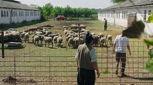 180K views · 2.3K reactions | A Duna TV bemutatja: Cseppben az élet - Béres József életútjának lebilincselő története, március 23-tól, szombatonként 20:30-kor a Dunán! | Duna Televízió | Facebook