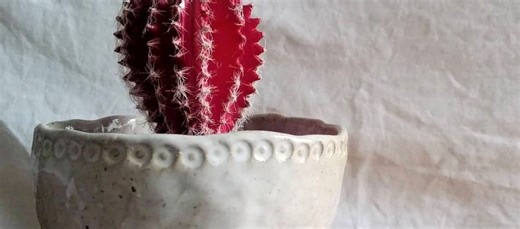 2026 Term 2 - Ceramics: Hand building Clay