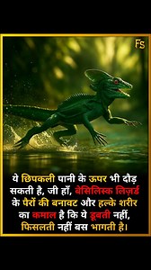 Basilisk Lizard – The Real-Life Water Runner! . . The basilisk lizard can actually run on water! Thanks to its lightweight body and special fringed feet, it slaps the water fast enough to stay afloat — earning it the nickname “Jesus Lizard.” It doesn’t sink, it just sprints across! क्या आपने कभी सोचा था कोई छिपकली पानी पर दौड़ सकती है? . . Follow @factsamrat45 . . #AnimalFacts #BasiliskLizard #UnrealFacts #MindBlown #CrazyTruths #DidYouKnow #WildlifeFacts #ScienceReels #NatureReels #AmazingAnima