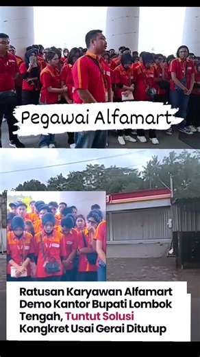Sebanyak 150 pegawai Alfamart melakukan aksi demo di kantor Bupati Lombok Tengah, Rabu 20 Mei 2026. Mereka menuntut kejelasan nasib mereka setelah Pemda menutup sebanyak 25 gerai Alfamart yang berdekatan dengan pasar rakyat. Koordinator aksi yang juga merupakan salah satu karyawan, Rudi Saprianto meminta agar Pemda tidak menutup Alfamart yang telah ada. Apalagi saat ini pekerjaan sangat sulit di dapatkan.
