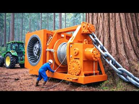 Dangerous Tree Cutting & Powerful Forestry Machines | Extreme Logging Action